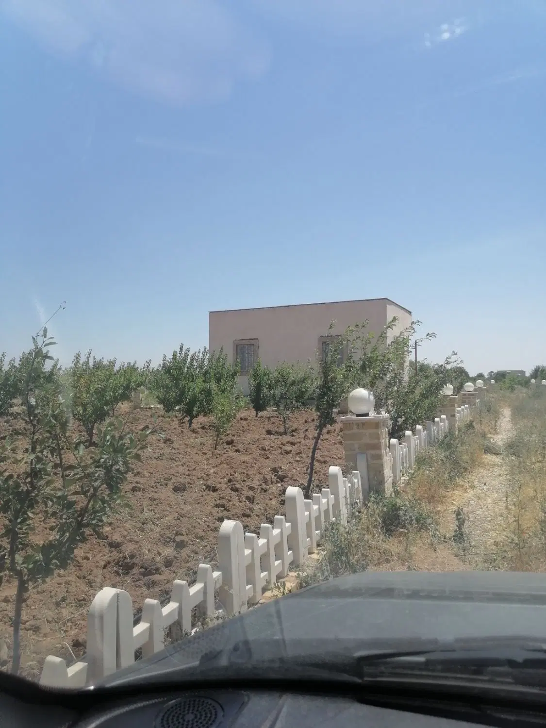 فروش باغ 2500متری با سند تکبرگ