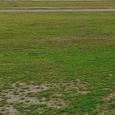 ۶۱۳مترزمین صند دار مسکونی