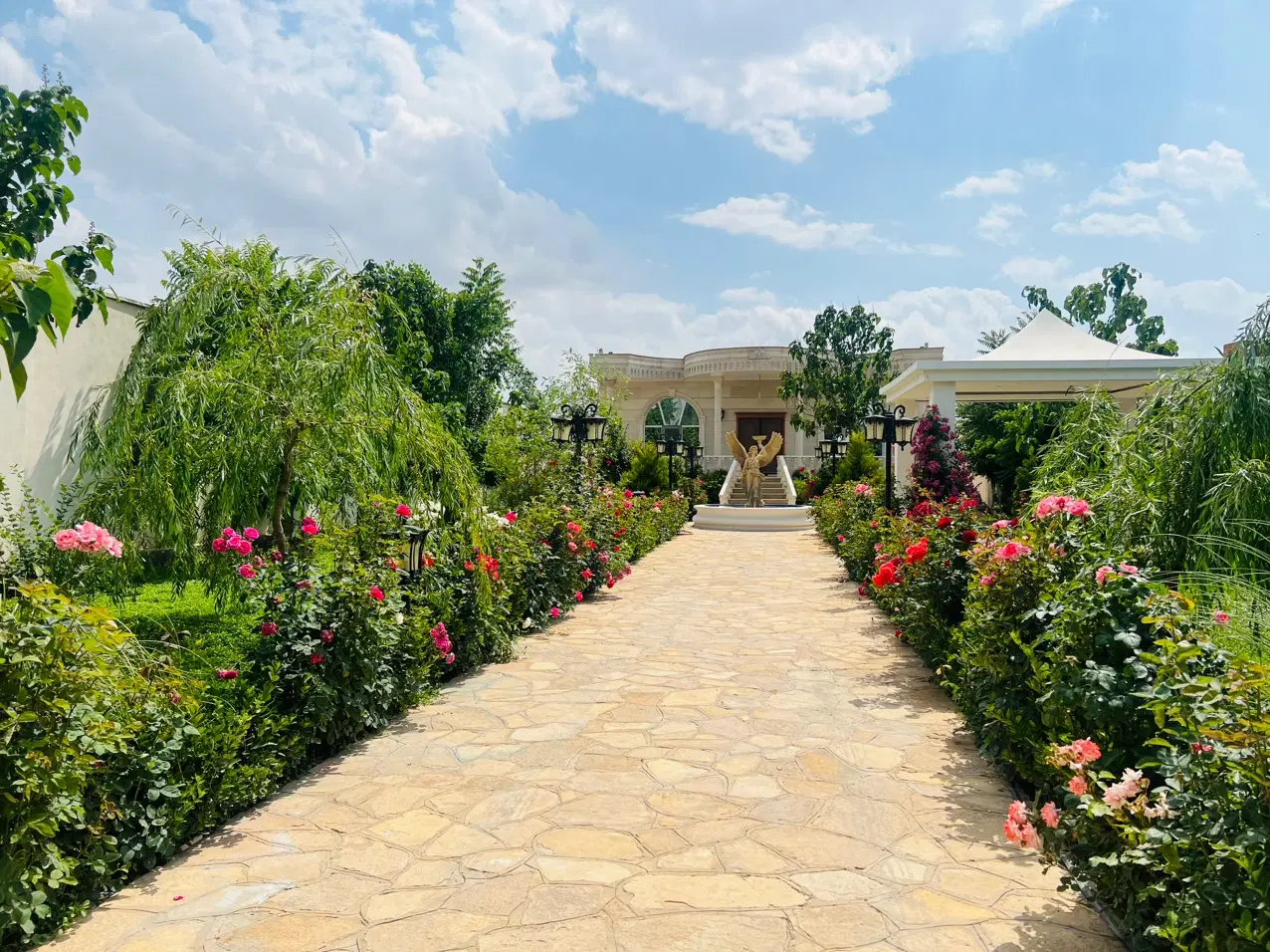 زمین ۵ هکتاری و ارزان مناسب کشت زعفران و انغوزه