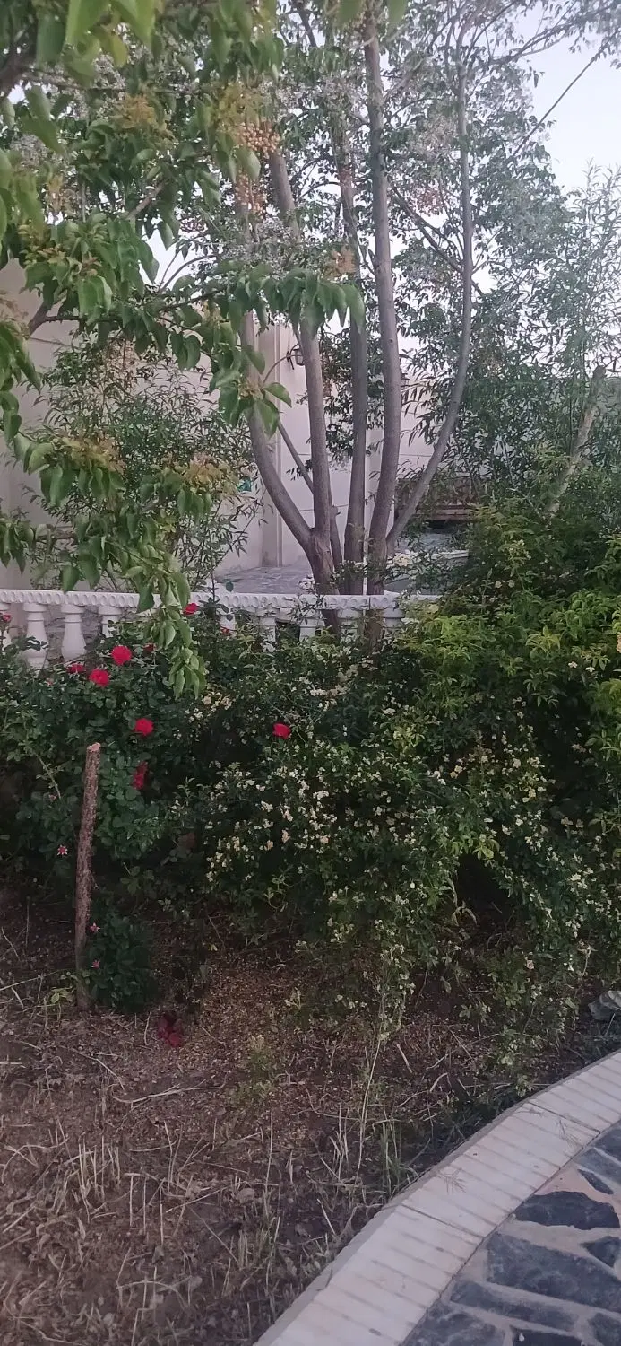 مورد ویلا  باغی  در ویلای سبز زردنجان
