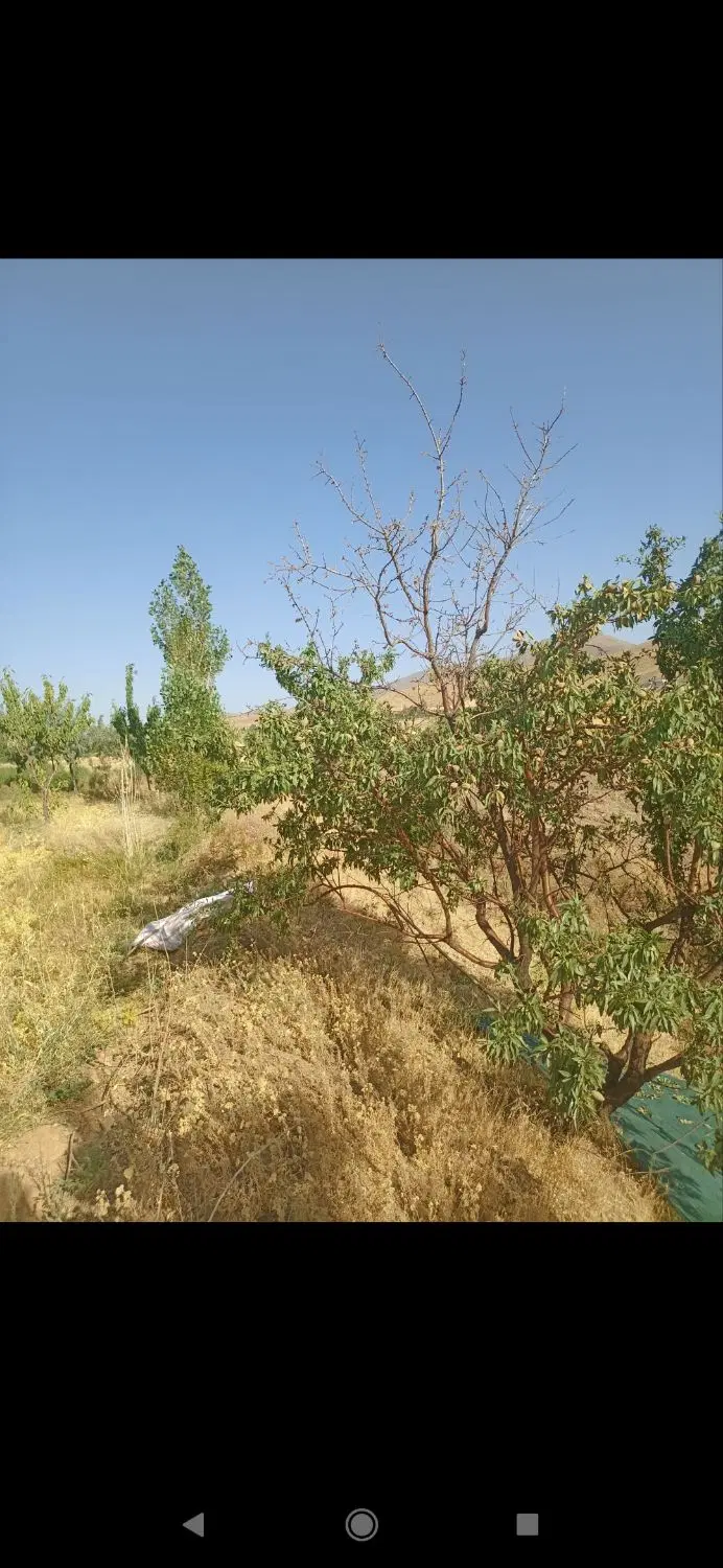 فروش فوری باغ و خانه