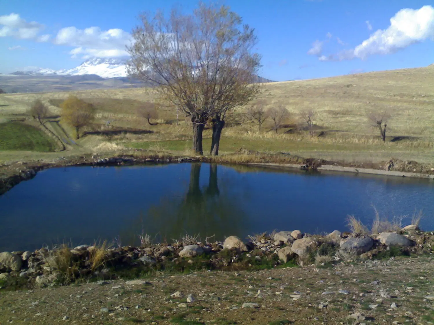یک هکتار زمین