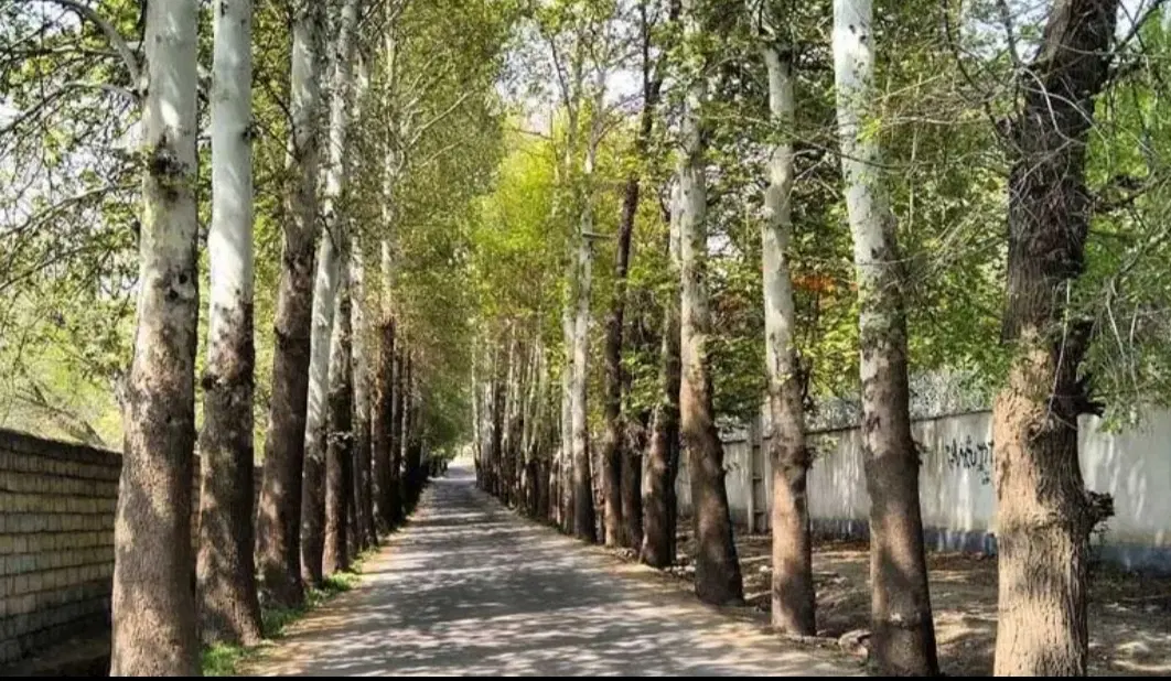 ۱۰۰۰ متر سند دار _کردان_کوهسار_شنده