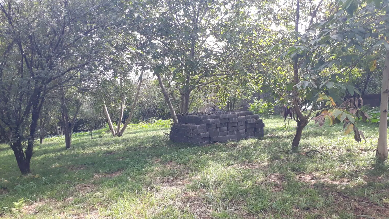 زمین عرصه و عیان