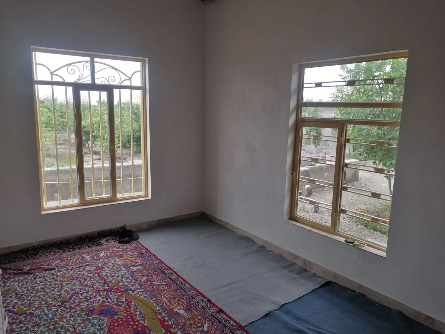 باغ فروشی درخت ب ثمر نشسته