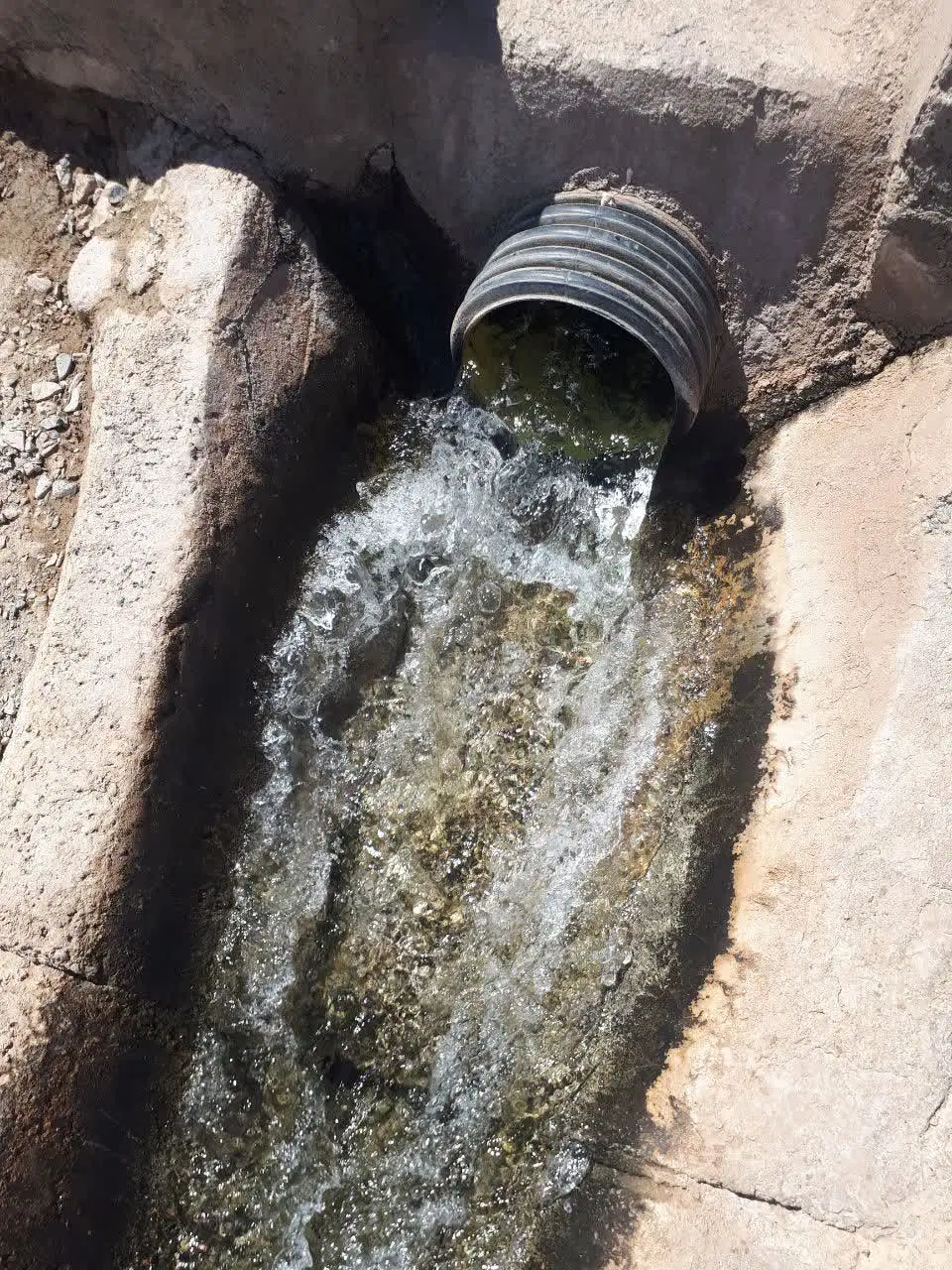 یک رب آب شیرین دشت بجد