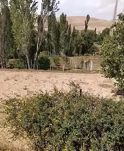 زمین بامجوزساخت