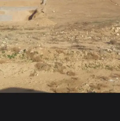 فروش باغ انگوری ۱۰۰۰ متری کلستان