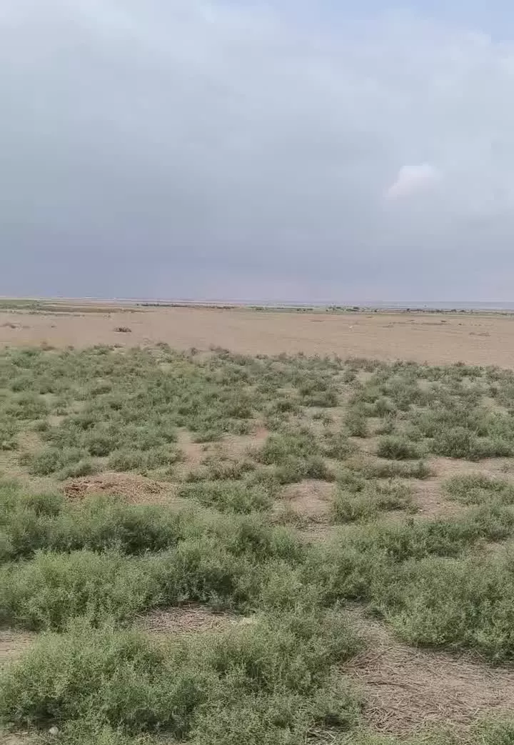 10هکتار زمین کشاورزی
