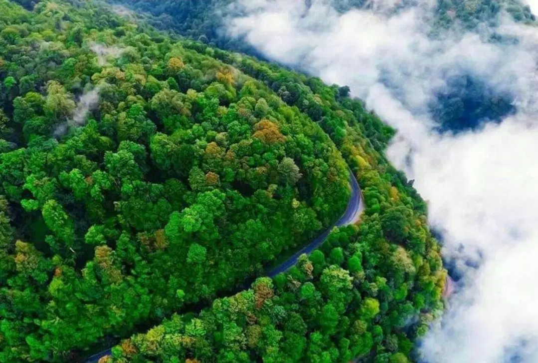 زندگی در بهشت،۹ قطعه زمین باسندتک‌برگ وپروانه ساخت