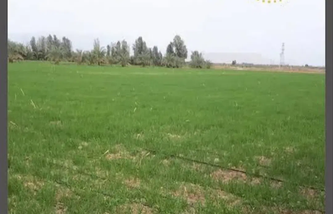 زمین کشاورزی چغاهروشی معاوضه با ماشین