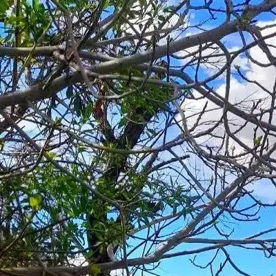 فروش خانه ویلایی دهستان دهسرد