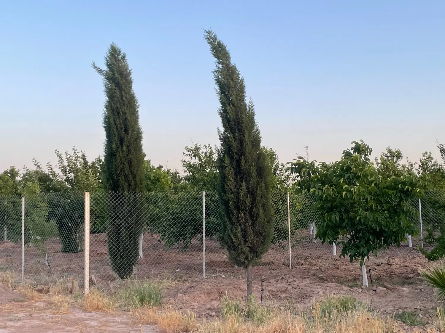 باغ ۱۰۰۰متری حسین آباد نقش رستم