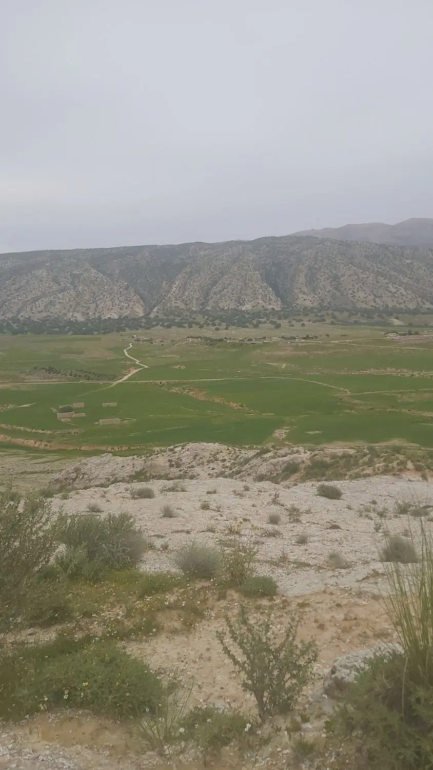 زمین