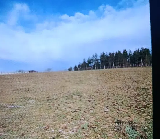 فروش فوری زمین.  ساری دودانگه  روستای پارت کلاه