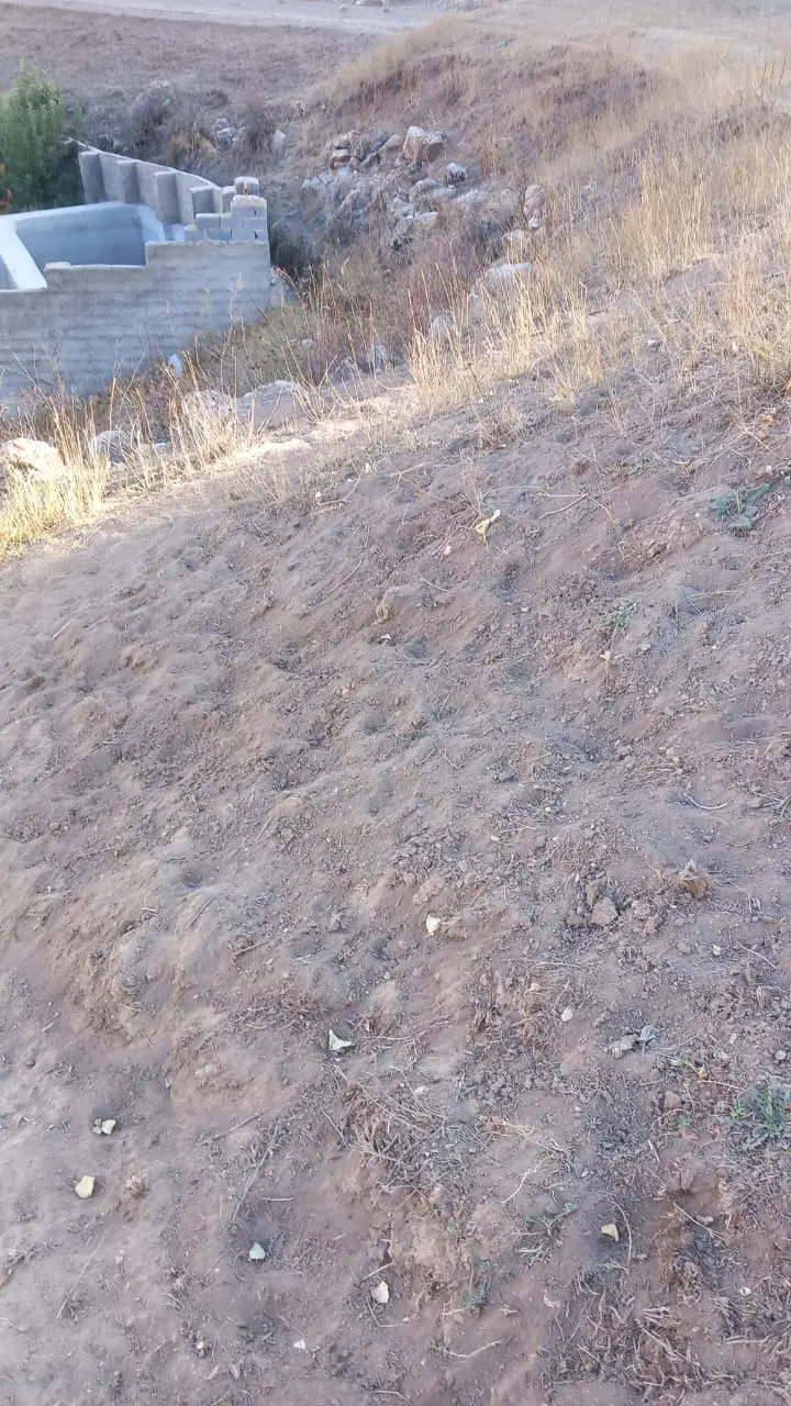 زمین در روستای لزور