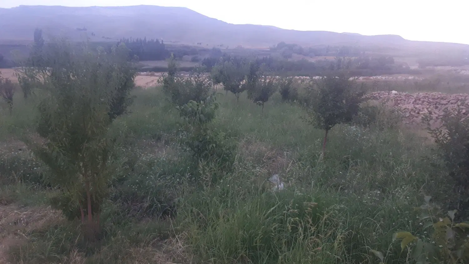زمین باغی حومه شهر