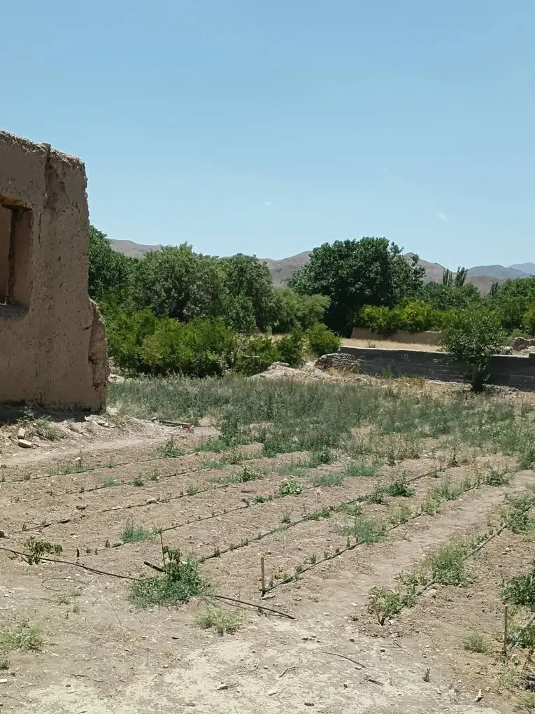 زمین با ویو عالی شهرستان نطنز