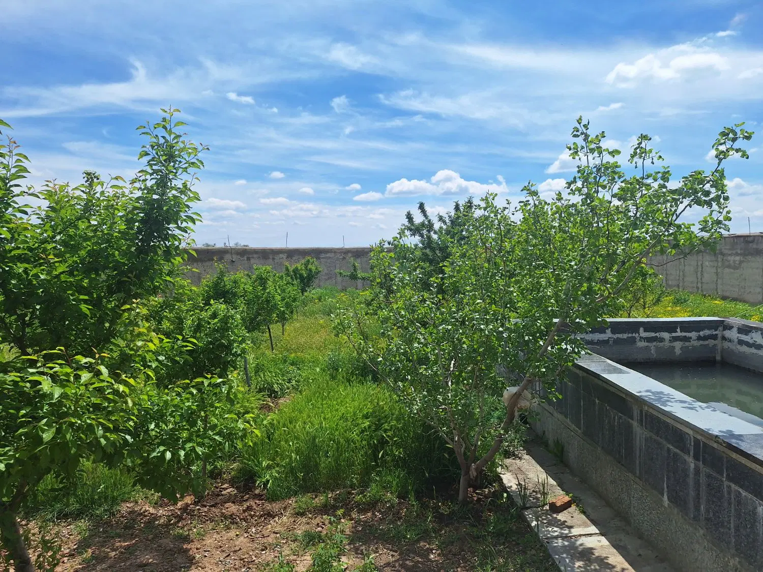 ۱۰۰۰مترmصوفیان