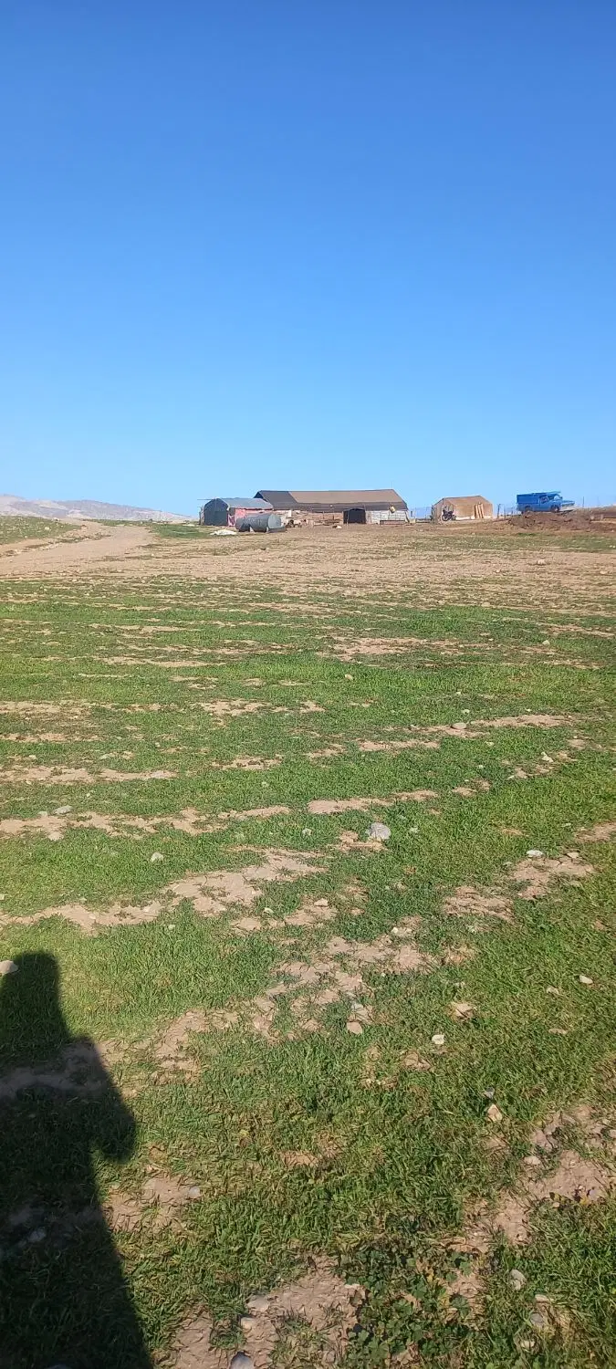 زمین تجاری مسکونی سرطاف