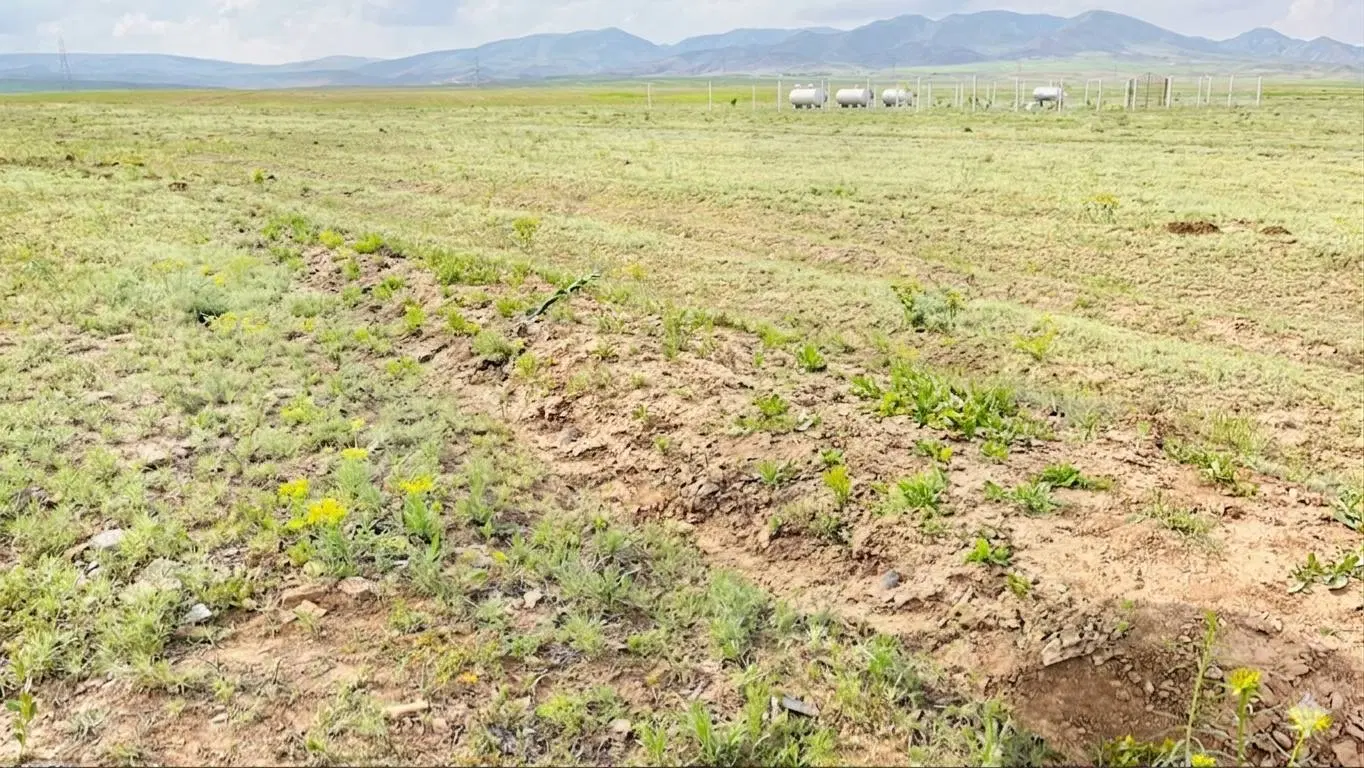زمین در بیلوردی با سند شش دانگ