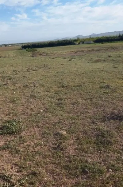 ۱۵۰۰متر زمین زراعی داخل محدوده