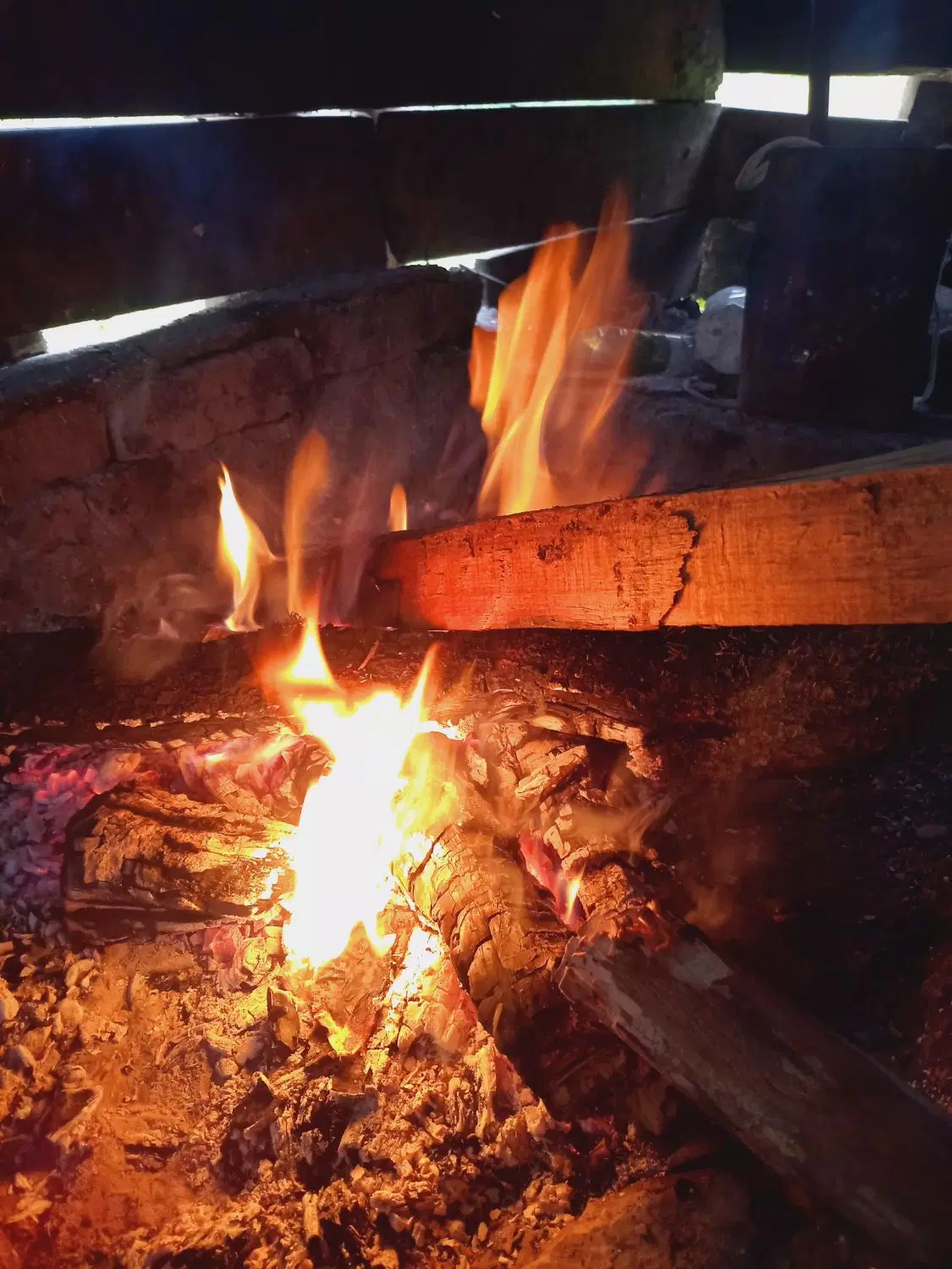 اجاره‌کلبه‌روزانه
