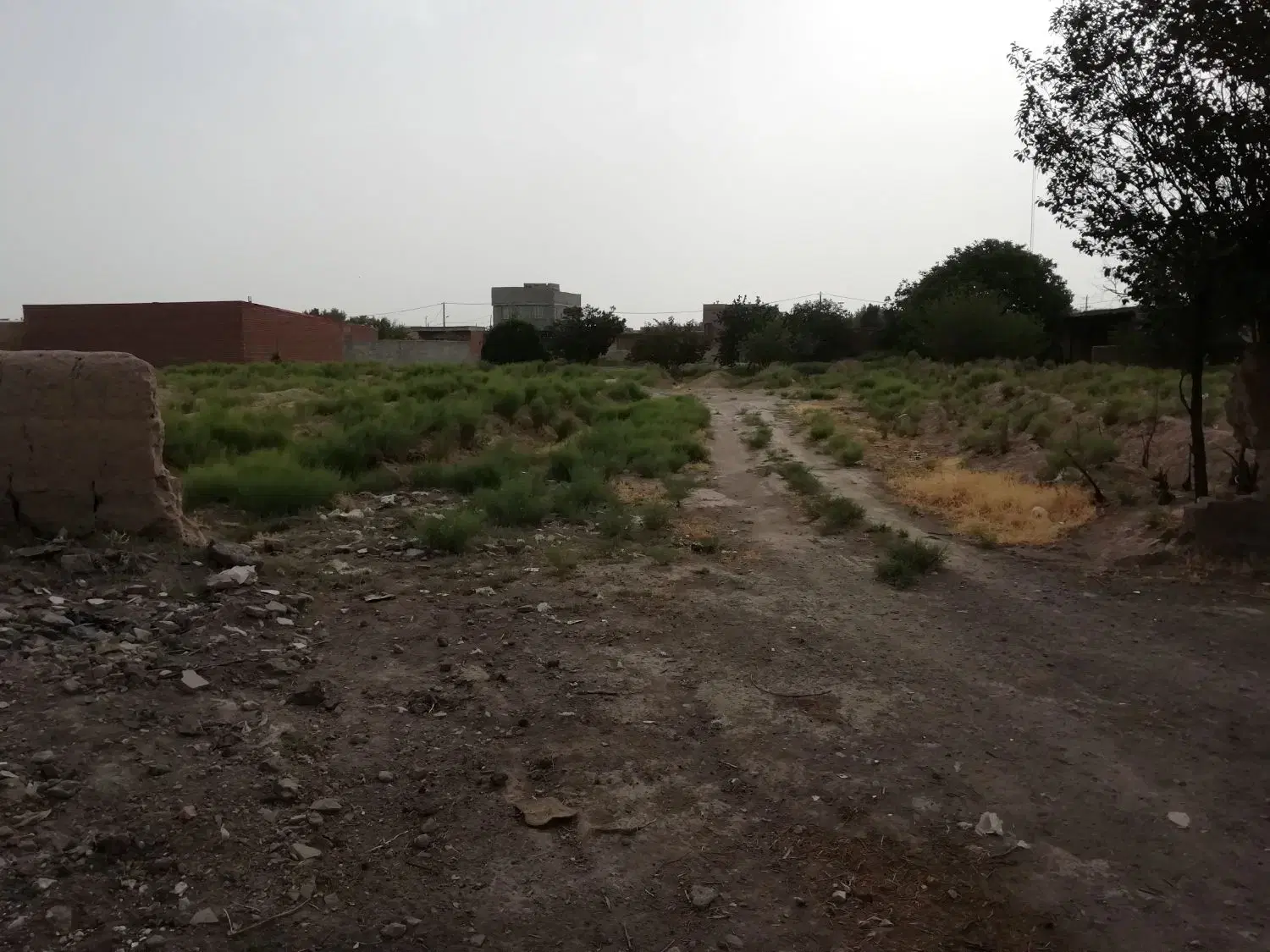فروش حق الورثه