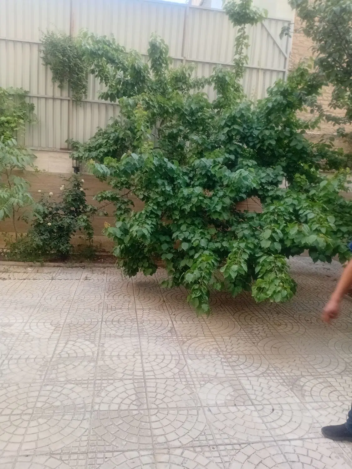 فروش سویت ۷۶۰ واحدی