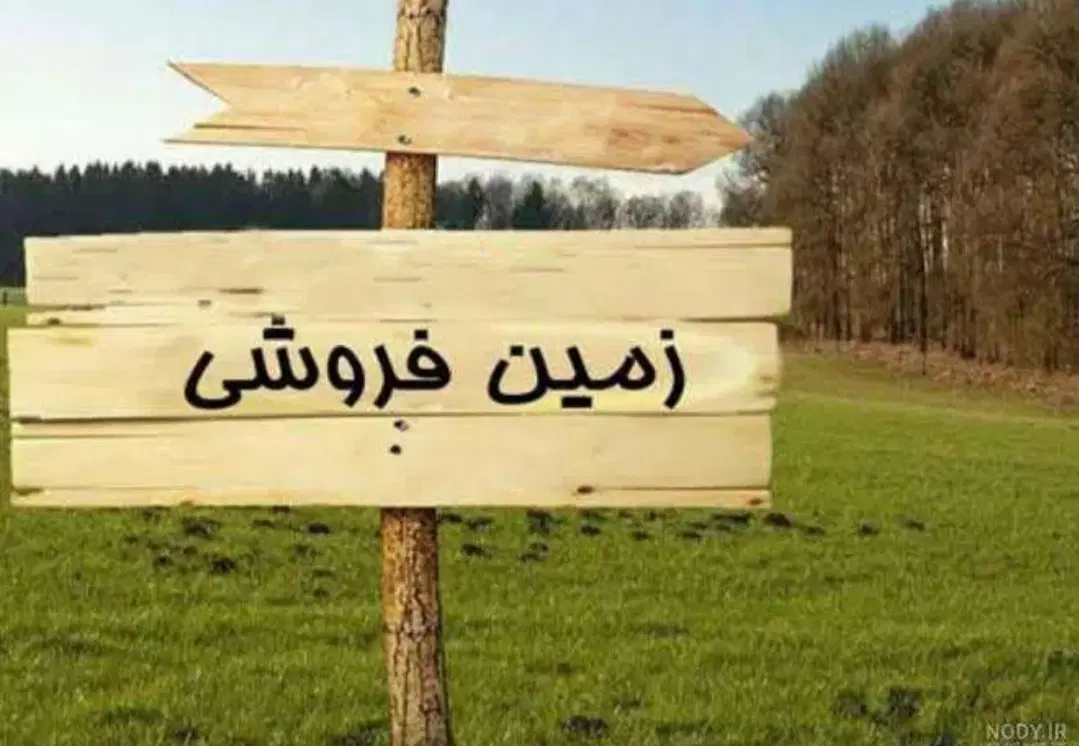 زمین