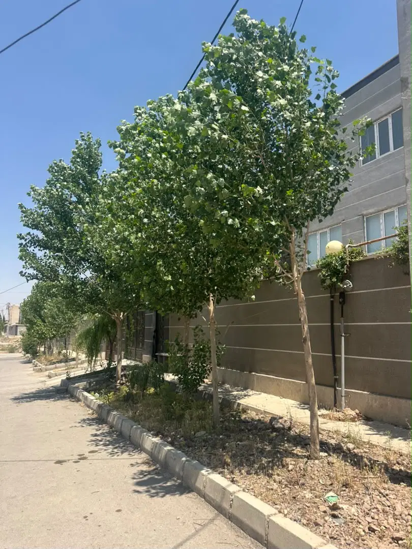 بهترین موقعیت سرمایه گذاری در شهرجدید مهستان