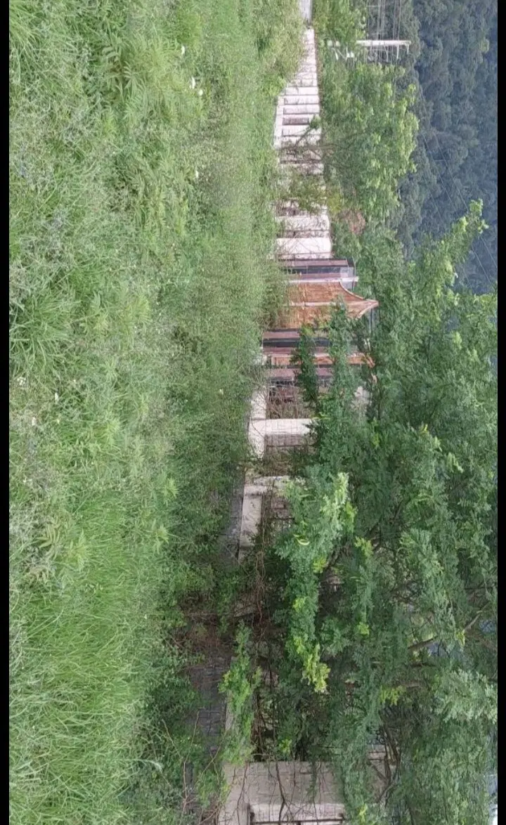 زمین در نوشهر در محله اناور
