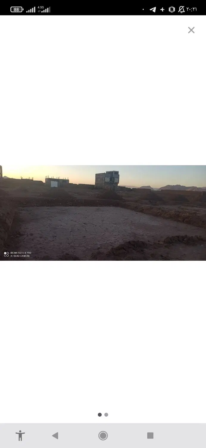 زمین سند تک برگ