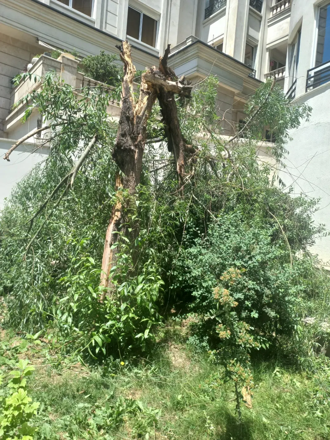 رهن واجاره خانه