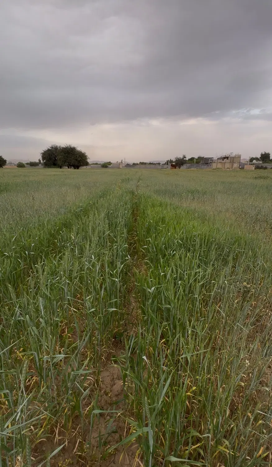 زمین ۶۰۰متر