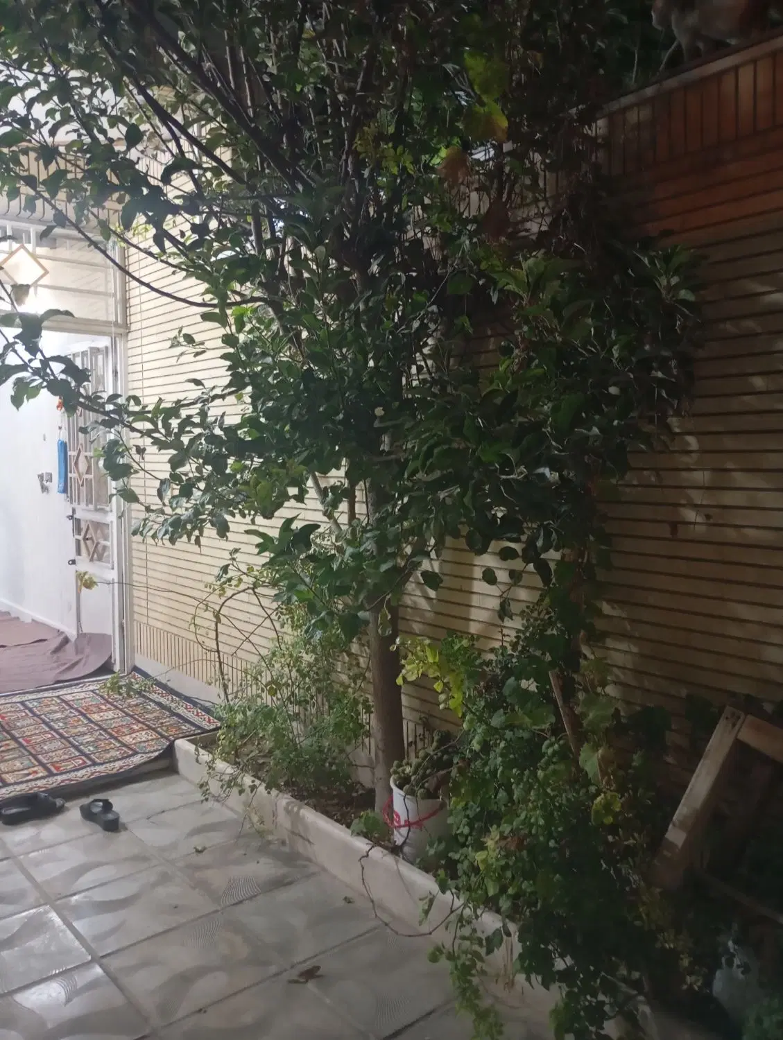 خونه ویلایی دوطبقه دلباز کشمیری ۳۰