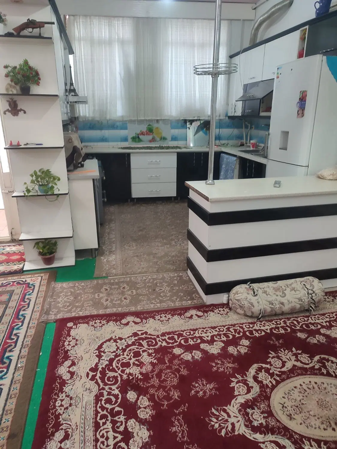 ملک رودکی