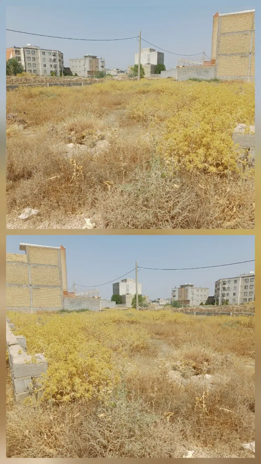 فروش زمین بلوار نخلستان