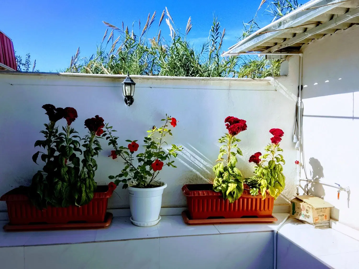 تجاری مسکونی