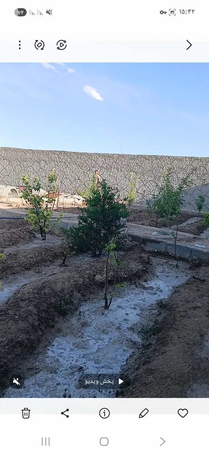۵۰۰ متر باغ در فساران