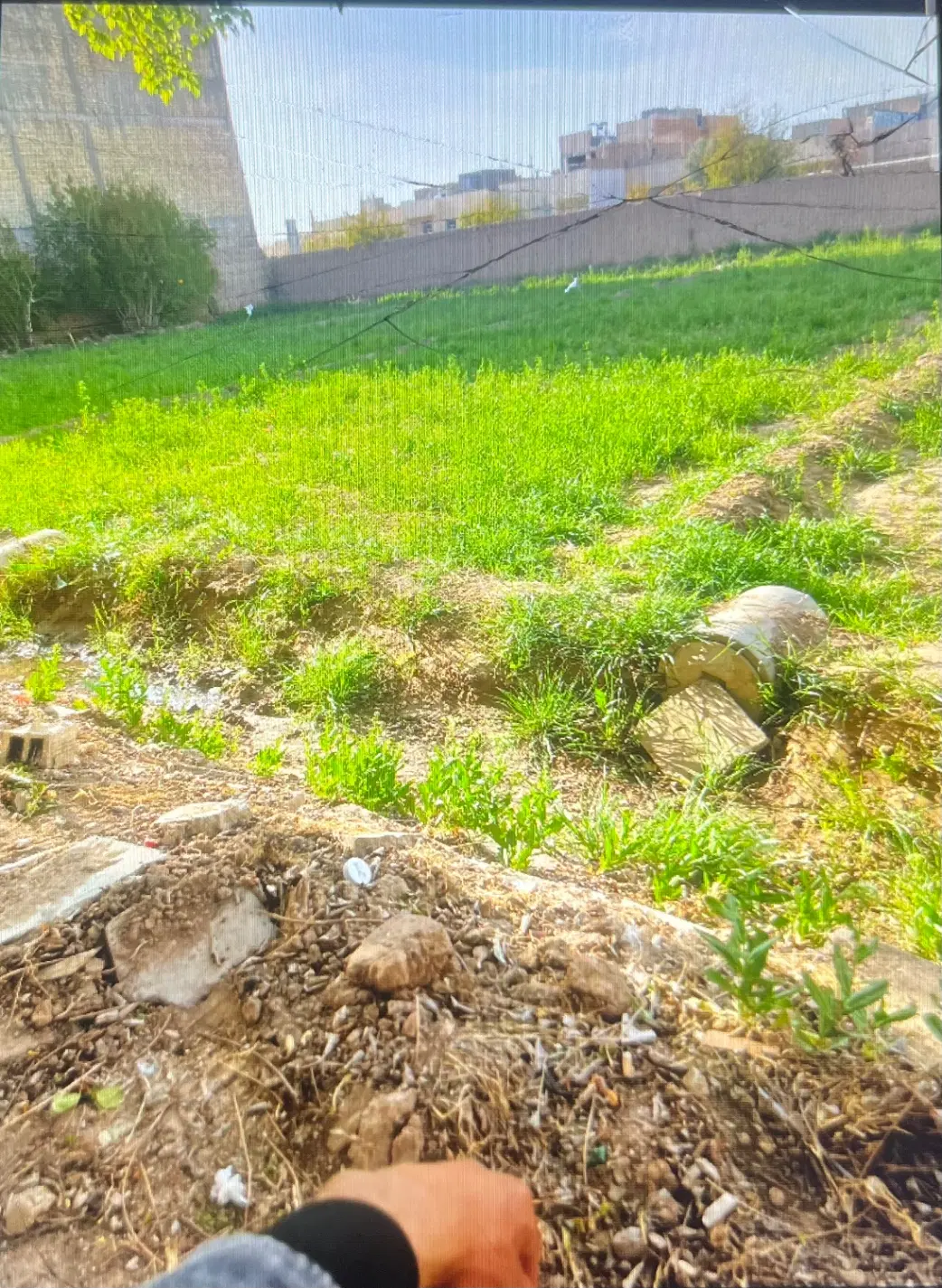 زمین امام جفعرصادق کوچه توت فرنگی