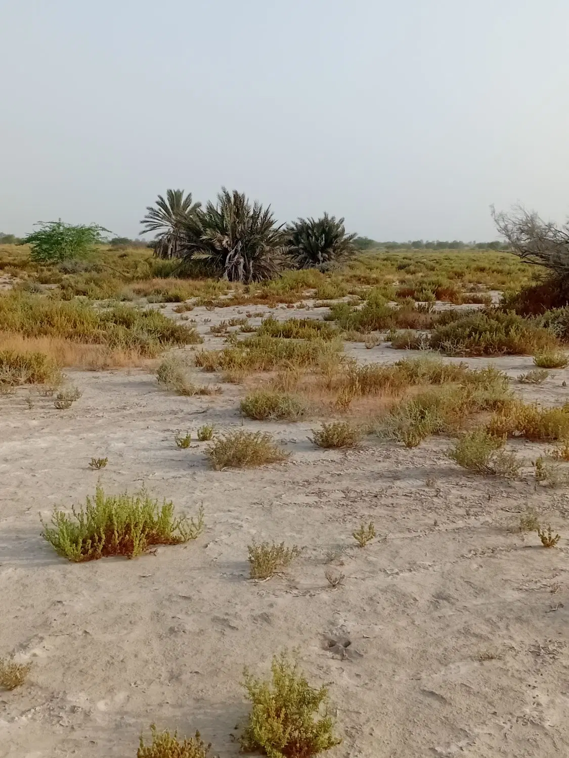 زمین فروشی