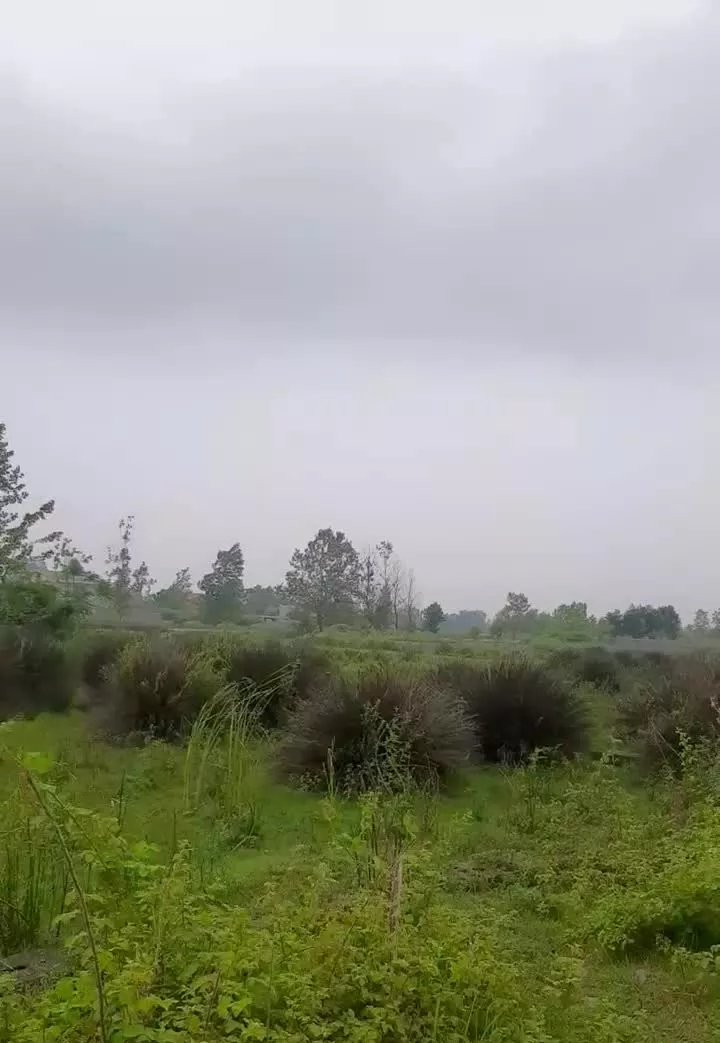 زمین نسق ۶۰۰متر
