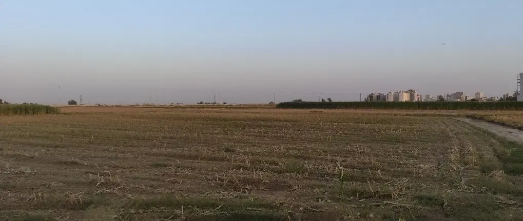 زمین ملاصدرا