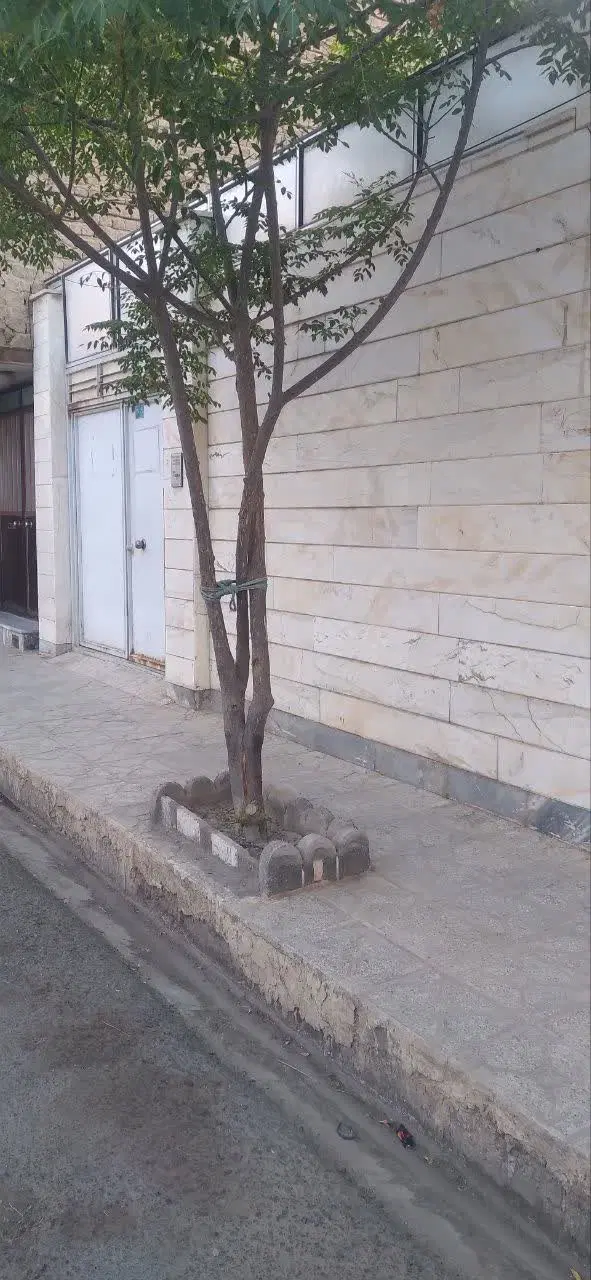 خانه ویلایی