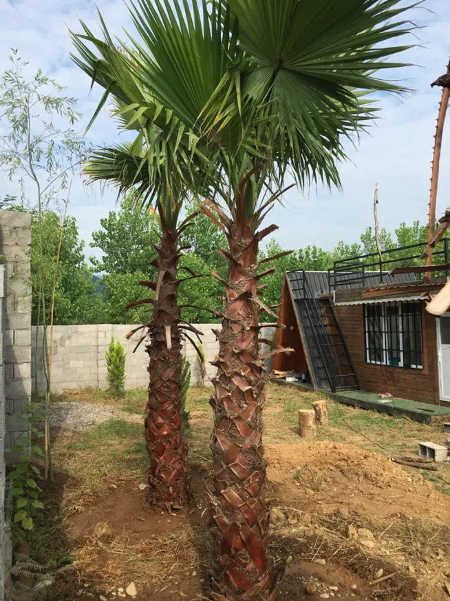 ۳۶۰ زمین ویوداربا کلبه سوئیسی روف دار