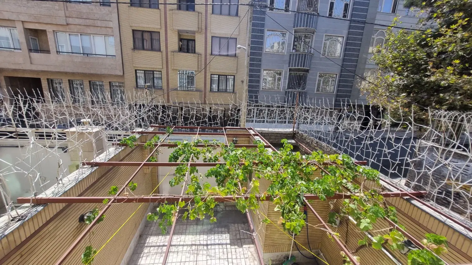 ویلایی وکیل آباد صدف