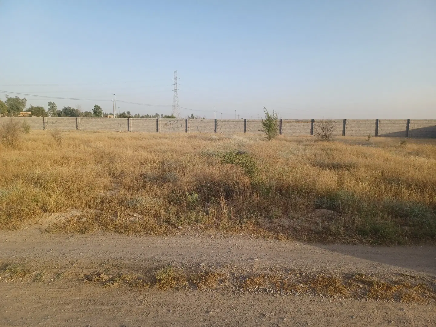 زمین باغ ۵۹۸ متر