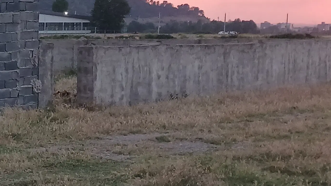 زمین۲۴۰ متری شهرک اداره برق