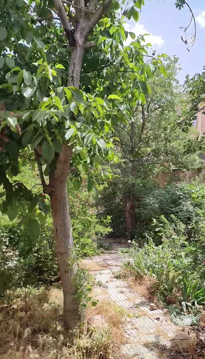 خانه ویلایی ۵۴۰ مترمربعی